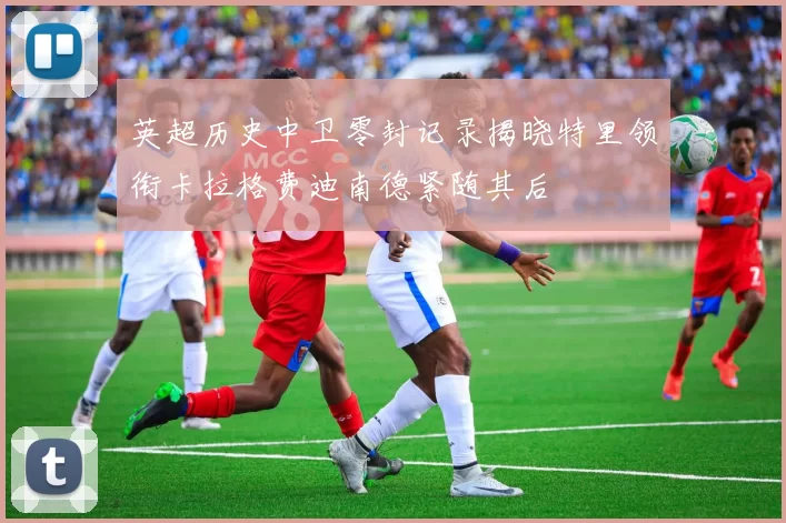 英超历史中卫零封记录揭晓特里领衔卡拉格费迪南德紧随其后