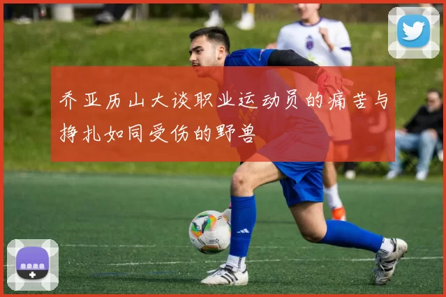 乔亚历山大谈职业运动员的痛苦与挣扎如同受伤的野兽